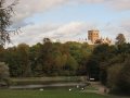 IMG_4971